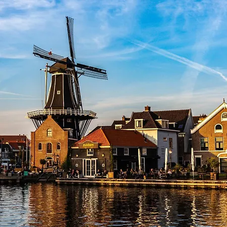 أمراث غراند فرانس هالس هارلم