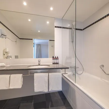 أمراث غراند فرانس هالس