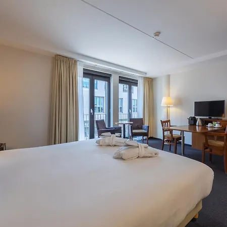 أمراث غراند فرانس هالس 4*