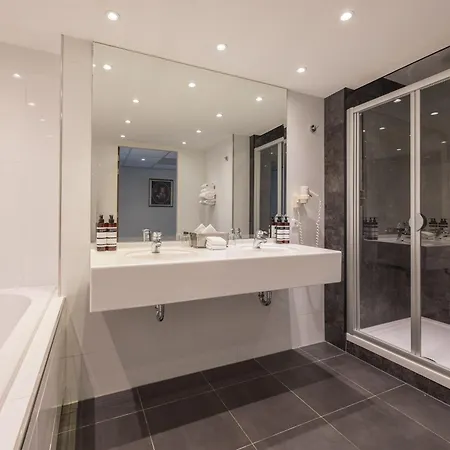 أمراث غراند فرانس هالس 4*