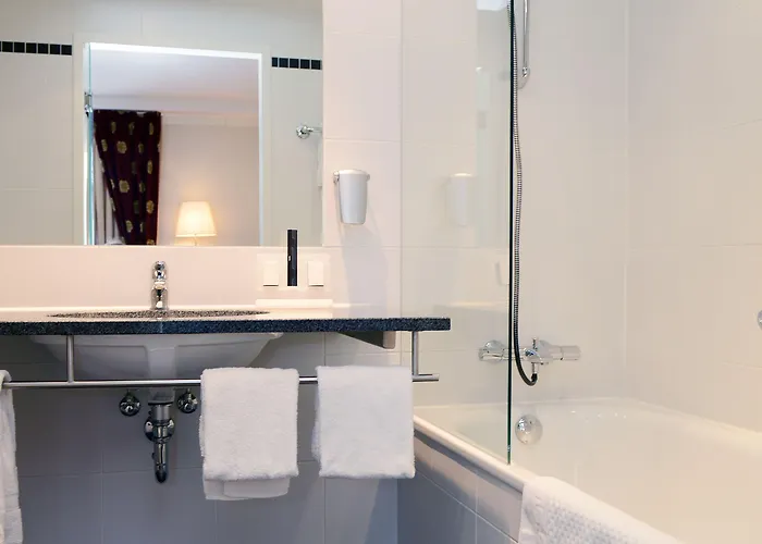 ホテル アムラス グランド フランス ハルス 4*