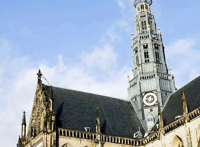 アムラス グランド フランス ハルス